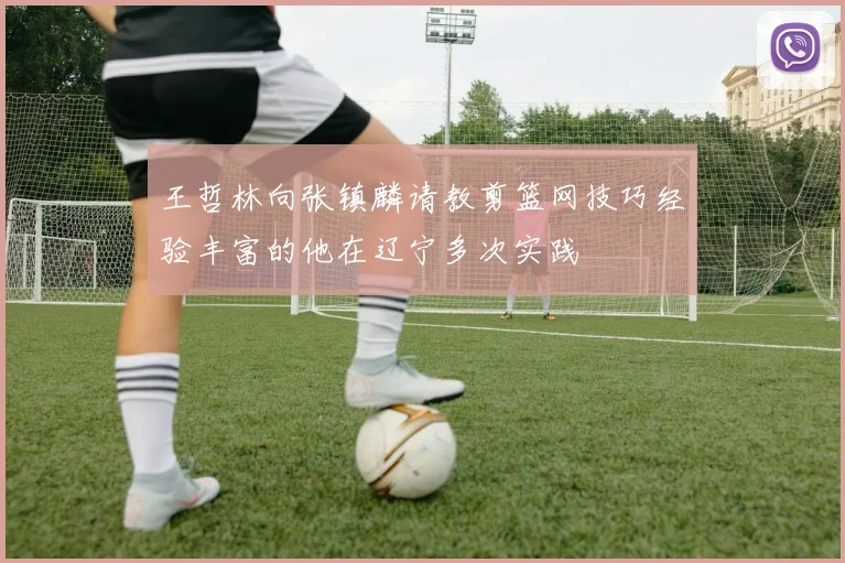 王哲林向张镇麟请教剪篮网技巧经验丰富的他在辽宁多次实践
