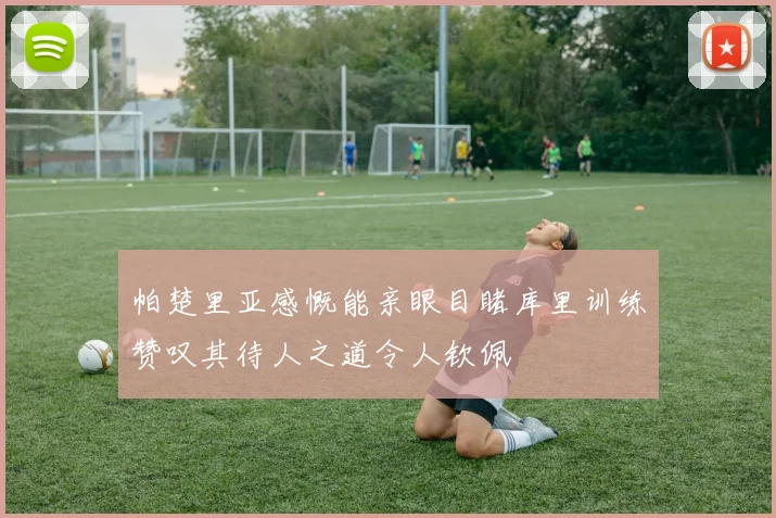 帕楚里亚感慨能亲眼目睹库里训练赞叹其待人之道令人钦佩