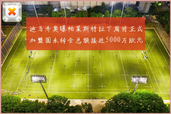 迪马济奥曝帕莱斯特拉下周将正式加盟国米转会总额接近5000万欧元